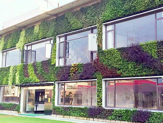 商場(chǎng)垂直綠化