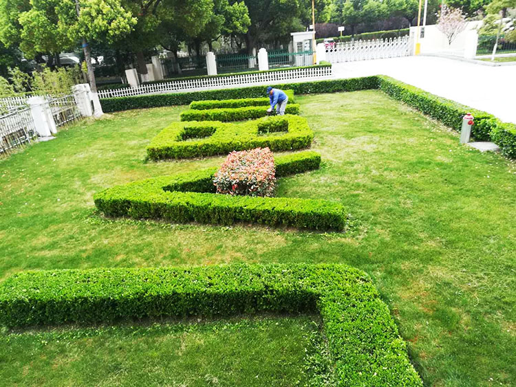 綠點(diǎn)（蘇州）科技有限公司